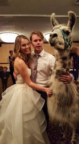 Funny And Unusual Wedding Photos