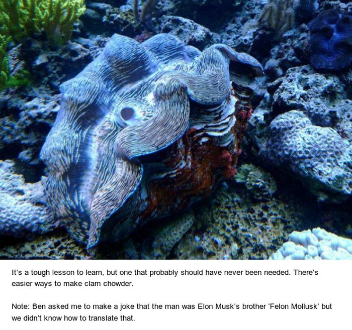 Scuba Diver tries To Have Sex With Giant Clam And Gets Hospitalized