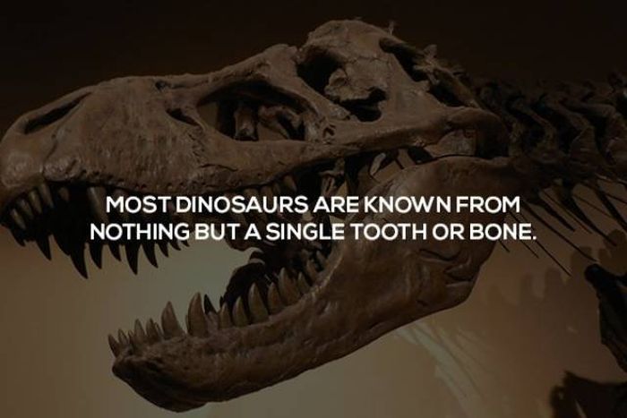 Interesting Science Facts, part 2