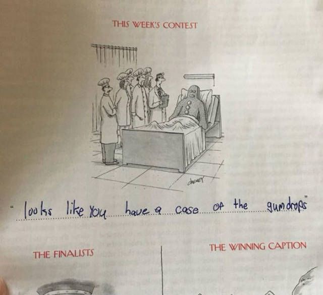 That Family Surely Has Some Incredible Talent In Writing Cartoon Captions