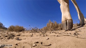 Awesome GoPro Moments