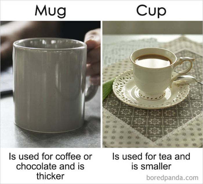 The Differences Between Similar Things