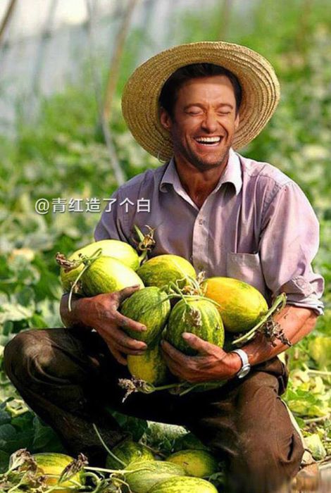 Celebrities As Chinese Farmers