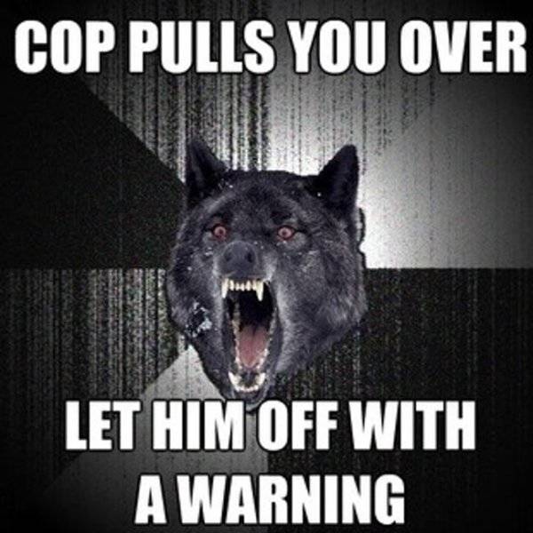 Wolf Memes