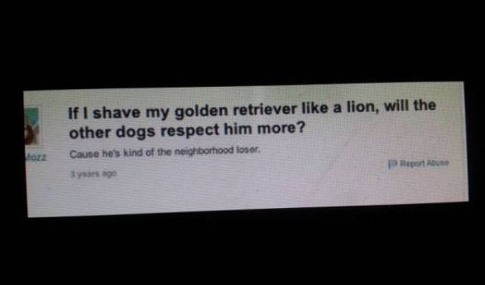 Funny Moments On Yahoo Answers