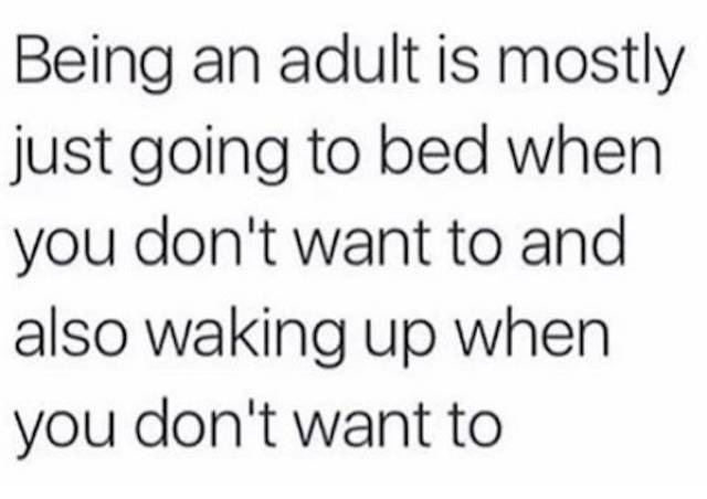 Adulting Is Just Never Pleasant