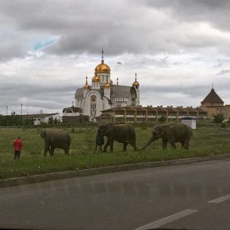 Only in Russia