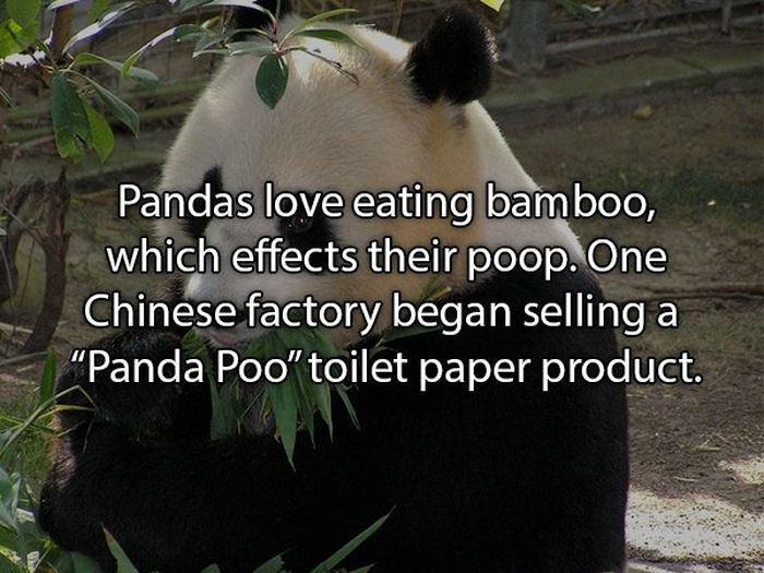 Facts About Poop