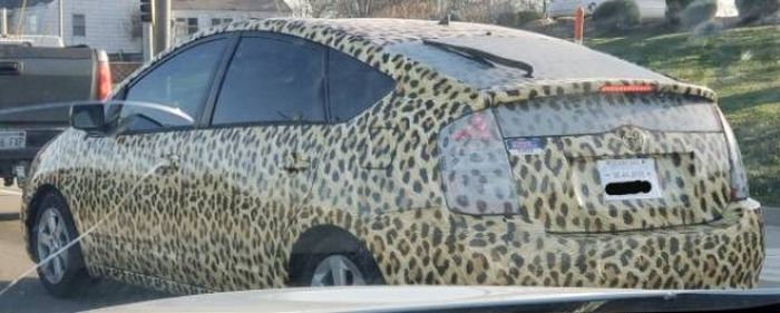Owners Of These Cars Are Trying Too Hard To Be Different