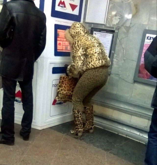 Leopard Fashion