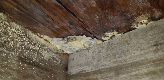 Homeowner Discovers How Bad His Home's Foundation Actually Is