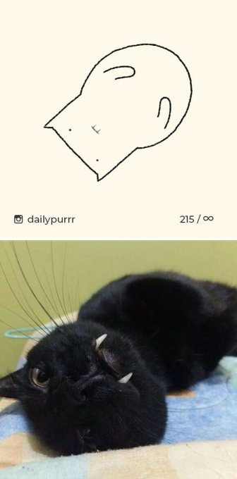 Times ‘Stupid Cat Drawings’ Made Everyone Laugh With How Accurate They Were