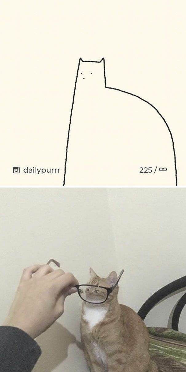 Times ‘Stupid Cat Drawings’ Made Everyone Laugh With How Accurate They Were