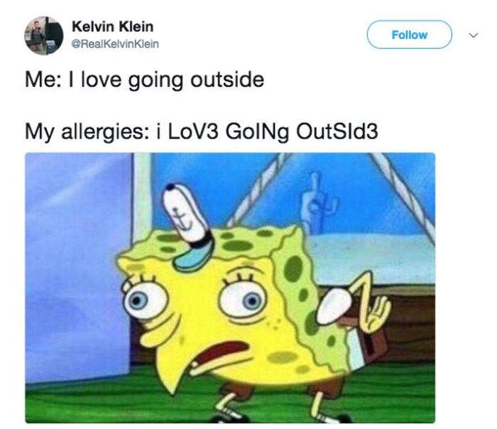 Allergy Season Memes