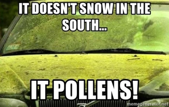 Allergy Season Memes