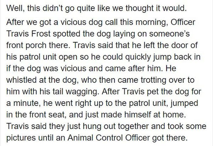 Officer Responds To A Call About “Vicious Dog”