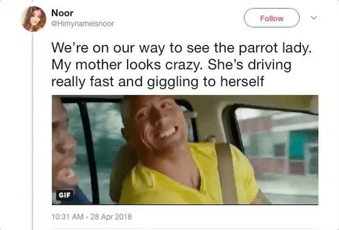 Mom and Daughter Go On A Hilarious Quest For Some Secret Parrots