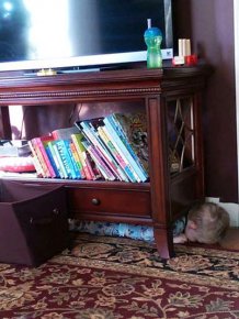 Children Playing Hide And Seek