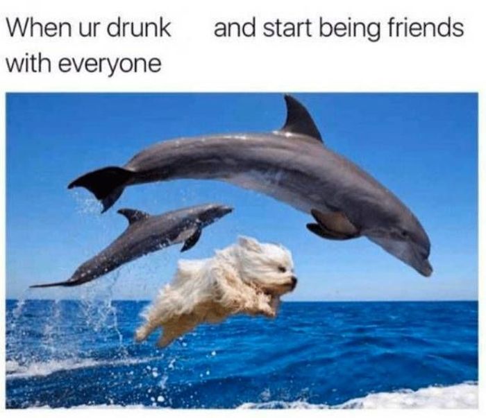 Memes About Drunk People
