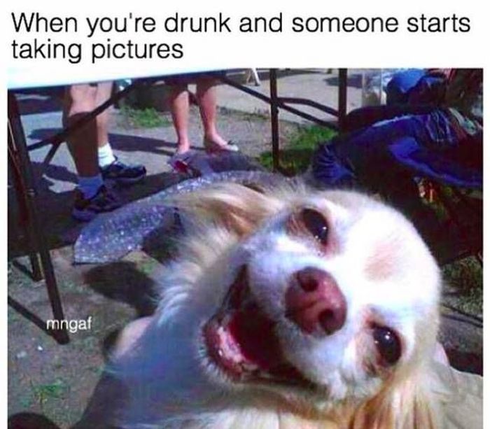 Memes About Drunk People