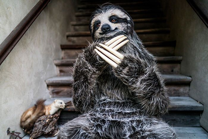 Sloth Suit