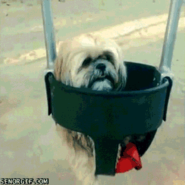 Daily GIFs Mix, part 1015
