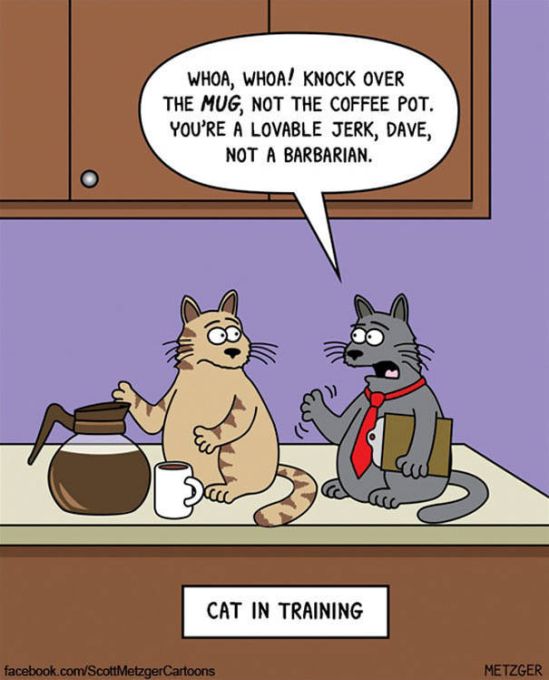 Funny Cat Cartoons | Fun