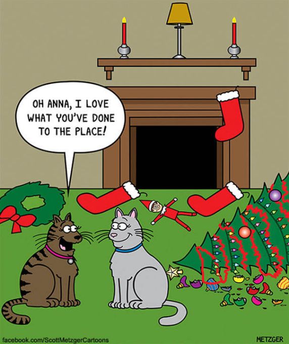 Funny Cat Cartoons