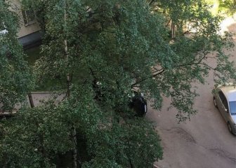 Punishment For Illegal Parking In Russia
