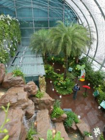 Singapore’s Changi Airport Is An Amazing Place