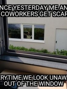 The Window War