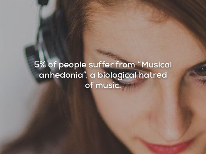 Music Facts, part 3