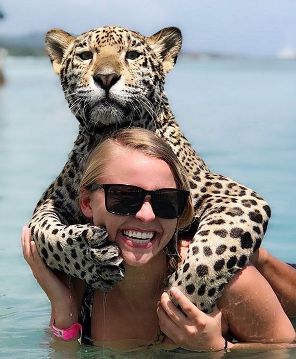 Vacation With Jaguars