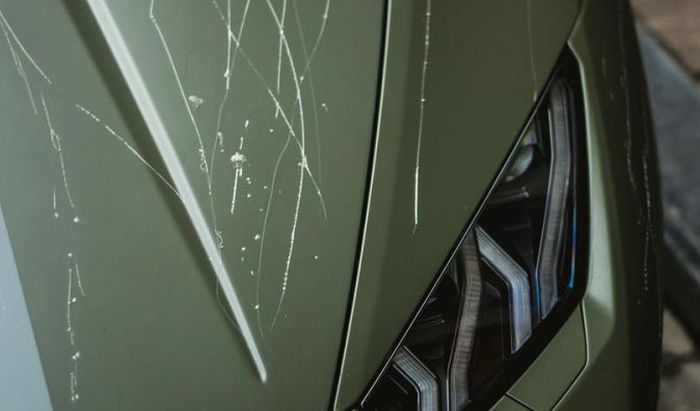 Vandals Destroy Lamborghini