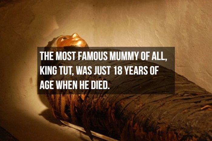 Interesting Facts About Mummies