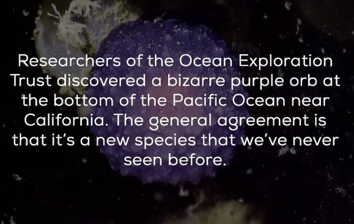 Bizarre Deep Sea Anomalies That Can’t Be Explained