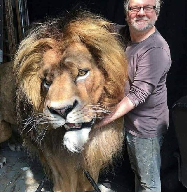 Mufasa Animatronic Model From Live Action Lion King Remake