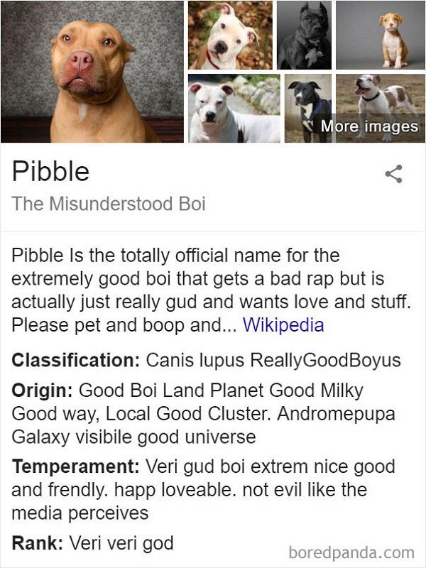 Fake Wikipedia Pages About Dog Breeds Are Better Than The Original Ones