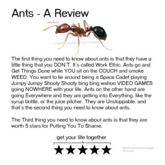 Animal Reviews