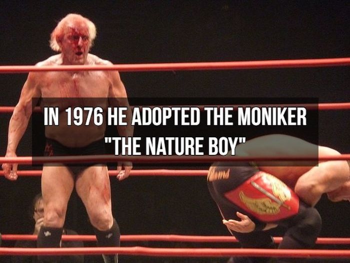 Facts About Ric Flair