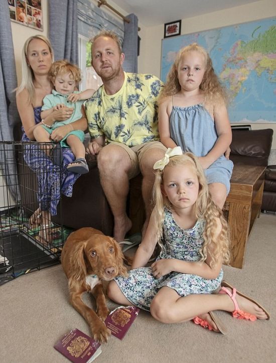 The Family Missed Their Vacation Because Of A Puppy Who Has Eaten A Passport