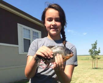 Rare Piranha With Human Teeth