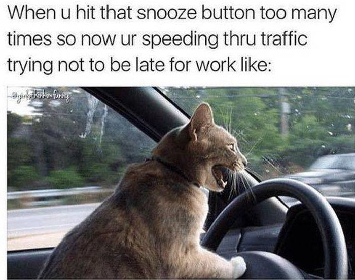 Memes About Being Late