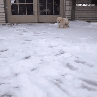 Daily GIFs Mix, part 1017