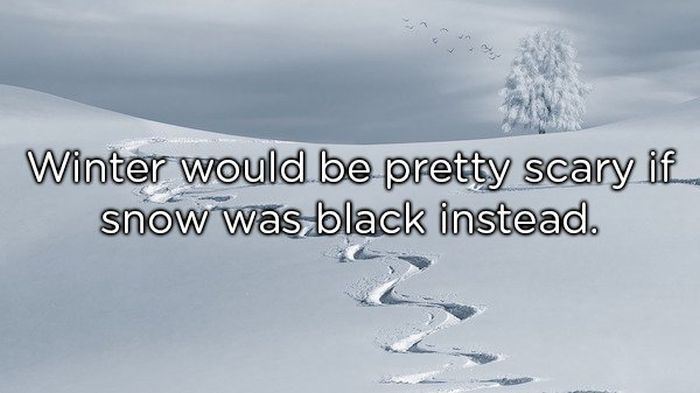Shower Thoughts, part 37