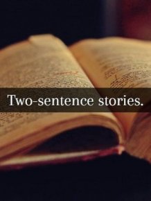 Two-sentence Stories