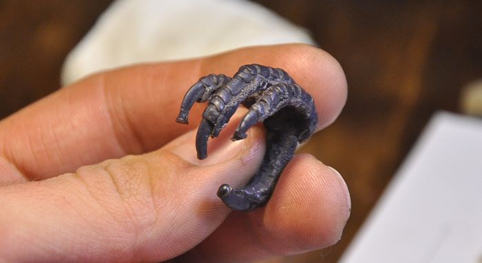 Ring Made Out Of The Crow's Paw