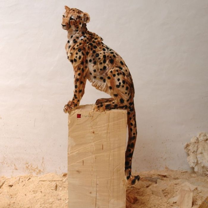 Artist Uses A Chainsaw To Carve Wood