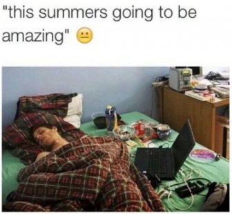 Summer Memes
