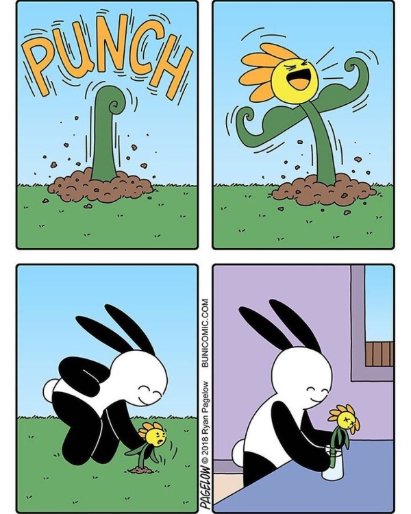 Bunny Comics That Often Don't End Well